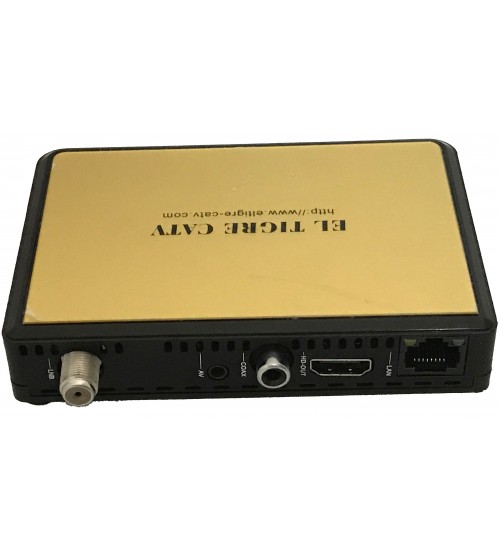 Satellite receiver DVB-S2 IPTV stream udp mpegts